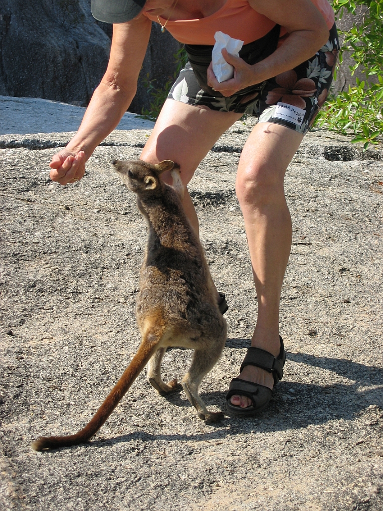 073 Granite Gorge.jpg